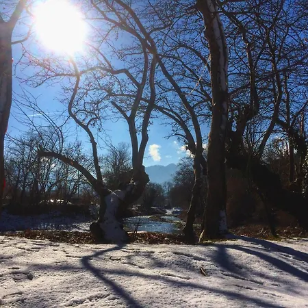 Agroktima Armonia Gospodarstwo wiejskie